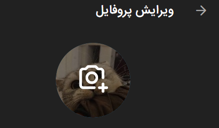 UploadNewProfileAvatar